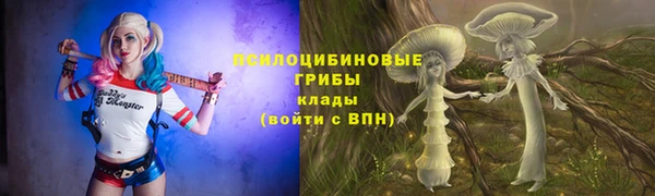 СК Сафоново