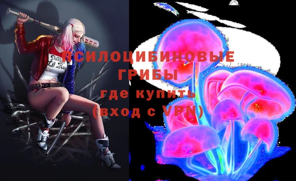 спайс Саяногорск