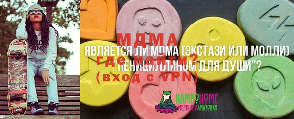 СК Сафоново