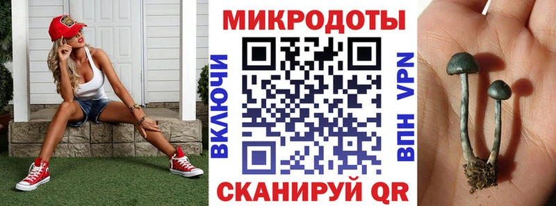 Псилоцибиновые грибы мухоморы  Купить где  Лахденпохья 